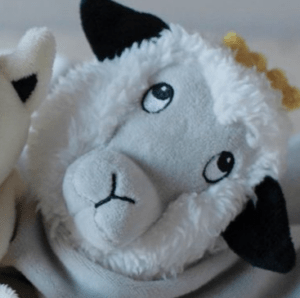 Sonja the Sheep