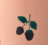 Berry/Pale Tuscany