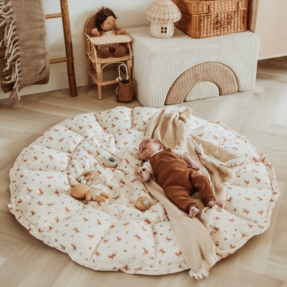 play&go 3in1 lahtikäiv beebipesa/tegelustekk coco